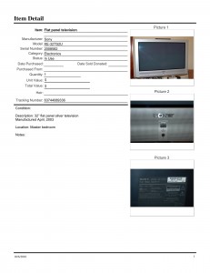 Item Detail Report - TV